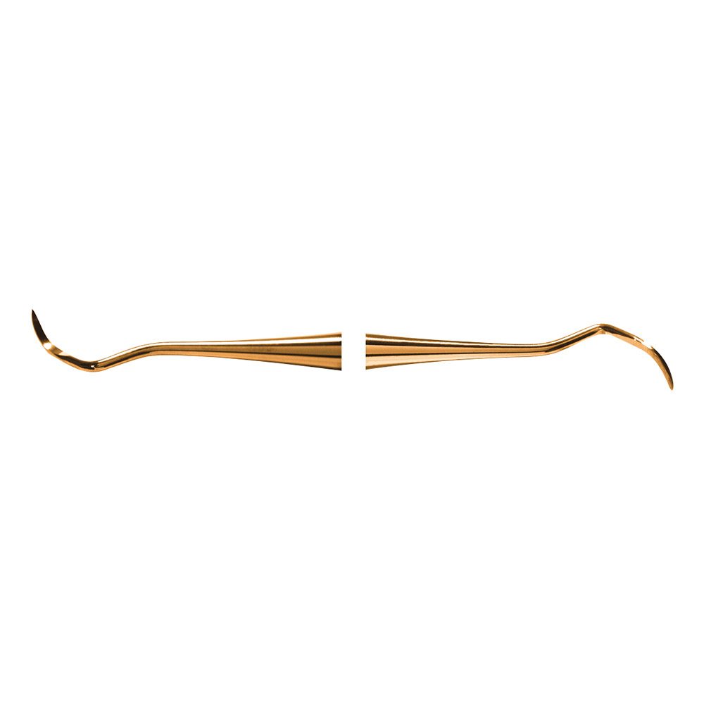 Scaler 204S XPX  AE St
