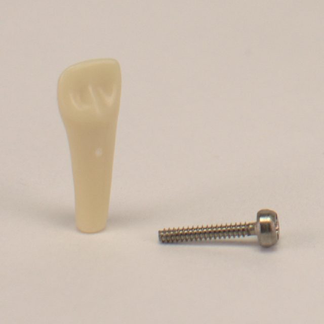 Modellzahn AK-6/2 ZE 51 OK Kind St
