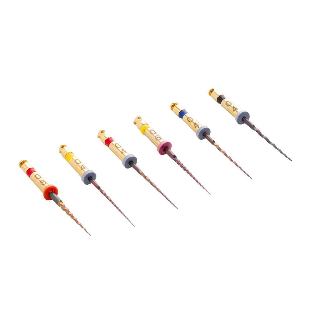 HyFlex CM NiTi-File Crown-Dow.L 21mm 6St