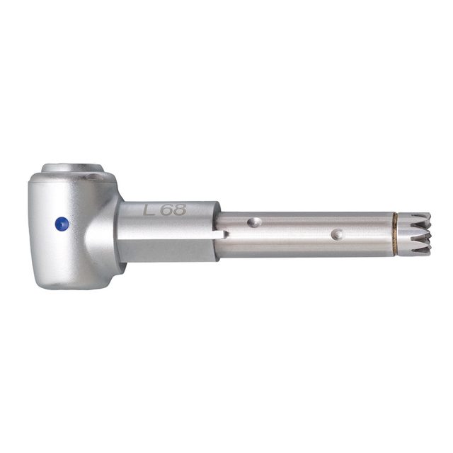 INTRA Kopf L68 1:1 Restauration St