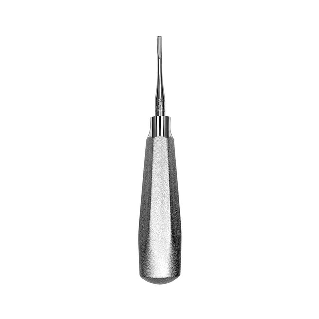 Wurzelheber Seldin E304W Gr.510, Stück