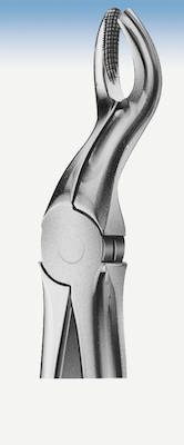 Zahnzange Anatomica Büchs Figur 67, Stück